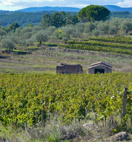 page_ardeche_culture_slider_c